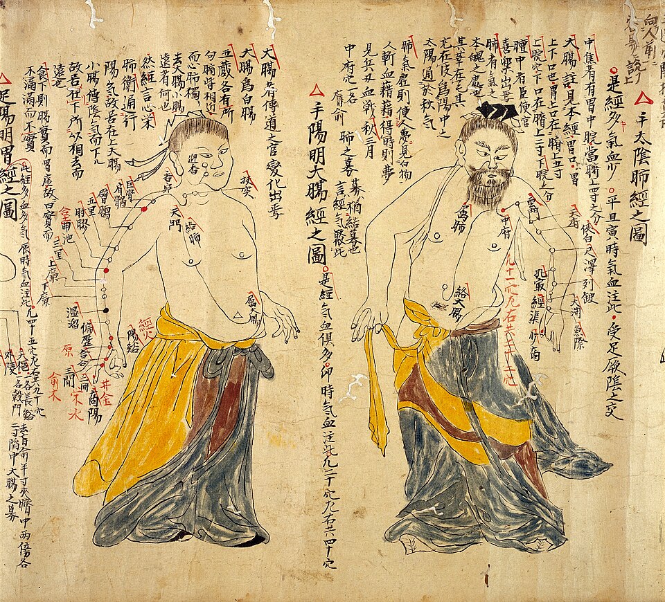 File:Illustration which identifies and names the acupuncture poin Wellcome L0031465.jpg